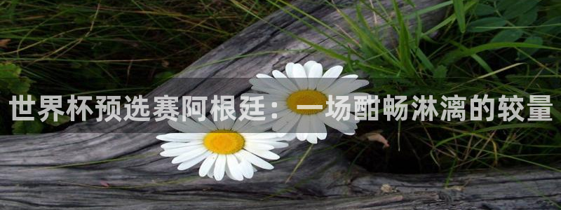 世界杯2026比赛时间表：世界杯预选赛阿根廷：一场酣畅淋漓的较量