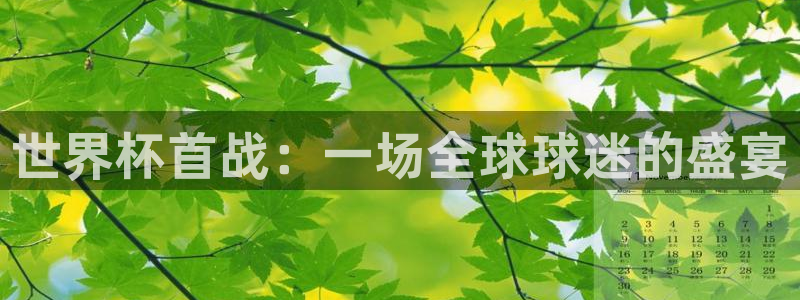 世界杯欧洲区预选赛赛程：世界杯首战：一场全球球迷的盛宴