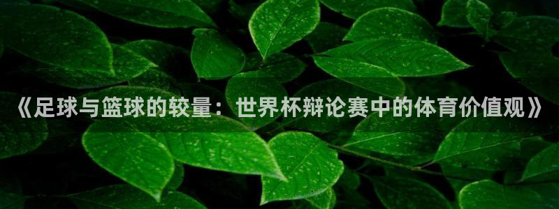 2026年足球世界杯赛程时间表：《足球与篮球的较量：世界杯辩论赛中的体育价值观》