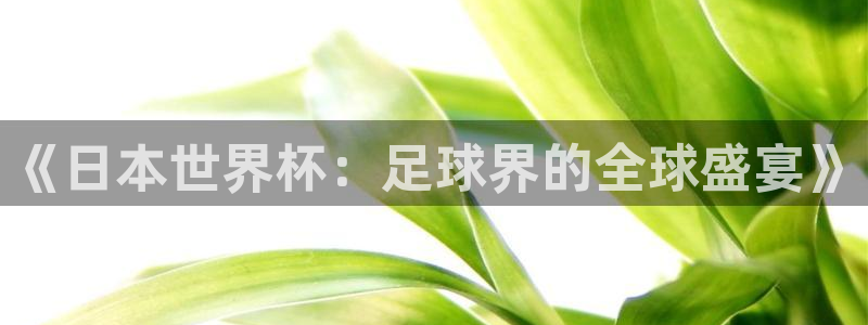 世界杯亚洲区预选赛赛程表：《日本世界杯：足球界的全球盛宴》