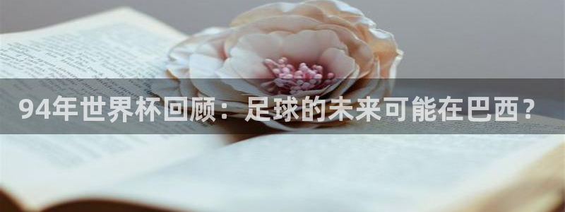 2026世界杯亚洲区预选赛赛程：94年世界杯回顾：足球的未来可能在巴西？