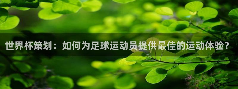 2026世界杯赛程时间表最新：世界杯策划：如何为足球运动员提供最佳的运动体验？