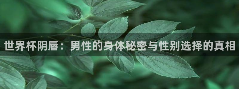 世界杯预选赛排名：世界杯阴唇：男性的身体秘密与性别选择的真相