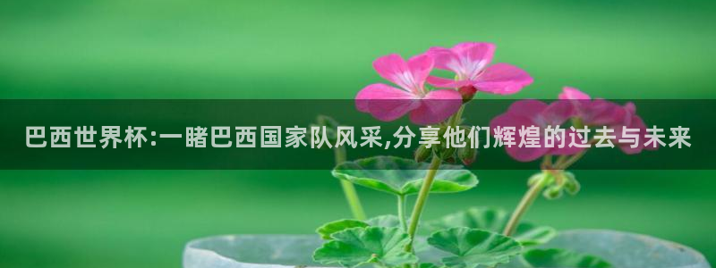 今年的世界杯：巴西世界杯:一睹巴西国家队风采,分享他们辉煌的过去与未来