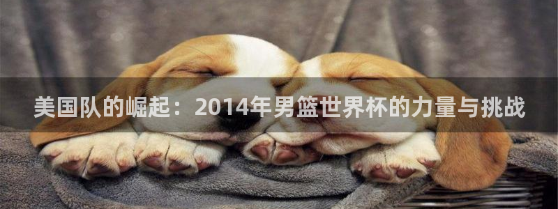 世界杯决赛直播：美国队的崛起：2014年男篮世界杯的力量与挑战