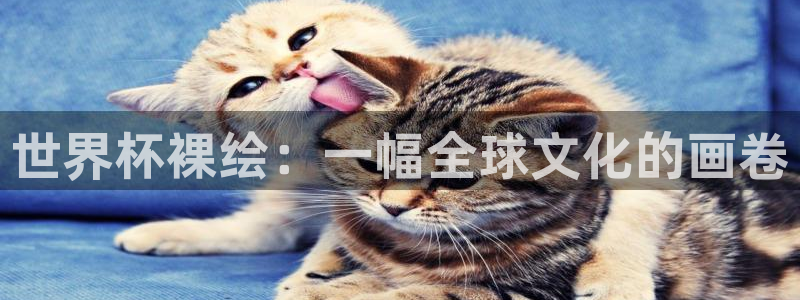 2026年世界杯赛程：世界杯裸绘：一幅全球文化的画卷