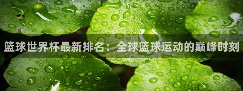 足球比分直播世界杯：篮球世界杯最新排名：全球篮球运动的巅峰时刻