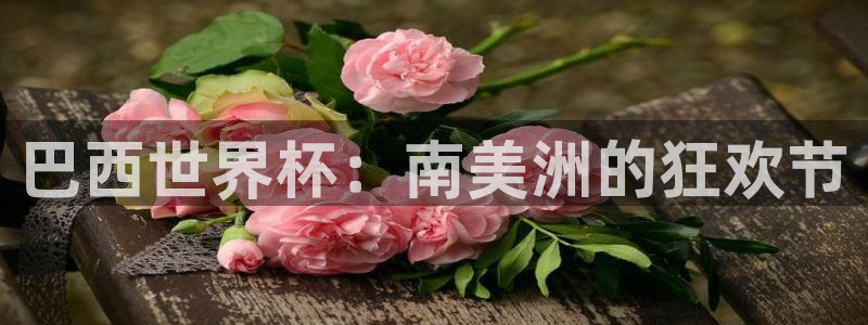 世界杯2026预选赛：巴西世界杯：南美洲的狂欢节