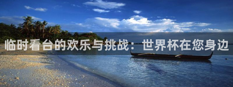 世界杯直播网:临时看台的欢乐与挑战:世界杯在您身边