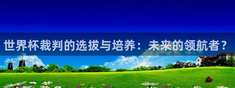 世界杯球赛:世界杯裁判的选拔与培养:未来的领航者?