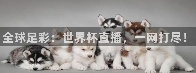 世界杯第一场比赛：全球足彩：世界杯直播，一网打尽！