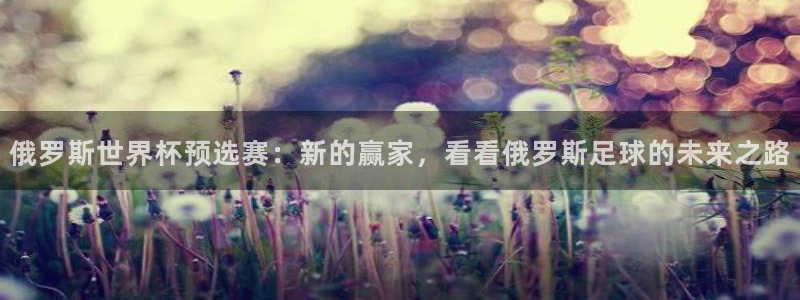 世界杯预选赛直播:俄罗斯世界杯预选赛:新的赢家,看看俄罗斯足球的未来之路