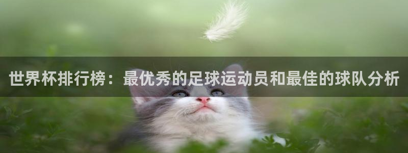 世界杯预选赛亚洲区积分榜:世界杯排行榜:最优秀的足球运动员和最佳的球队分析