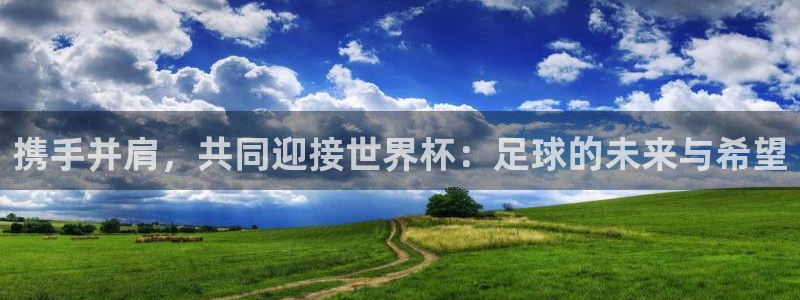 世界杯葡萄牙赛程:携手并肩,共同迎接世界杯:足球的未来与希望