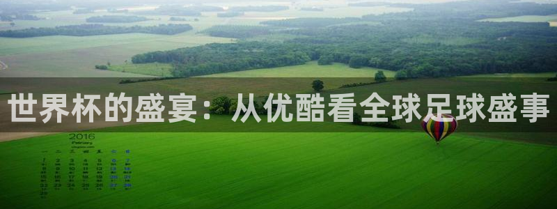 世界杯系列赛:世界杯的盛宴:从优酷看全球足球盛事